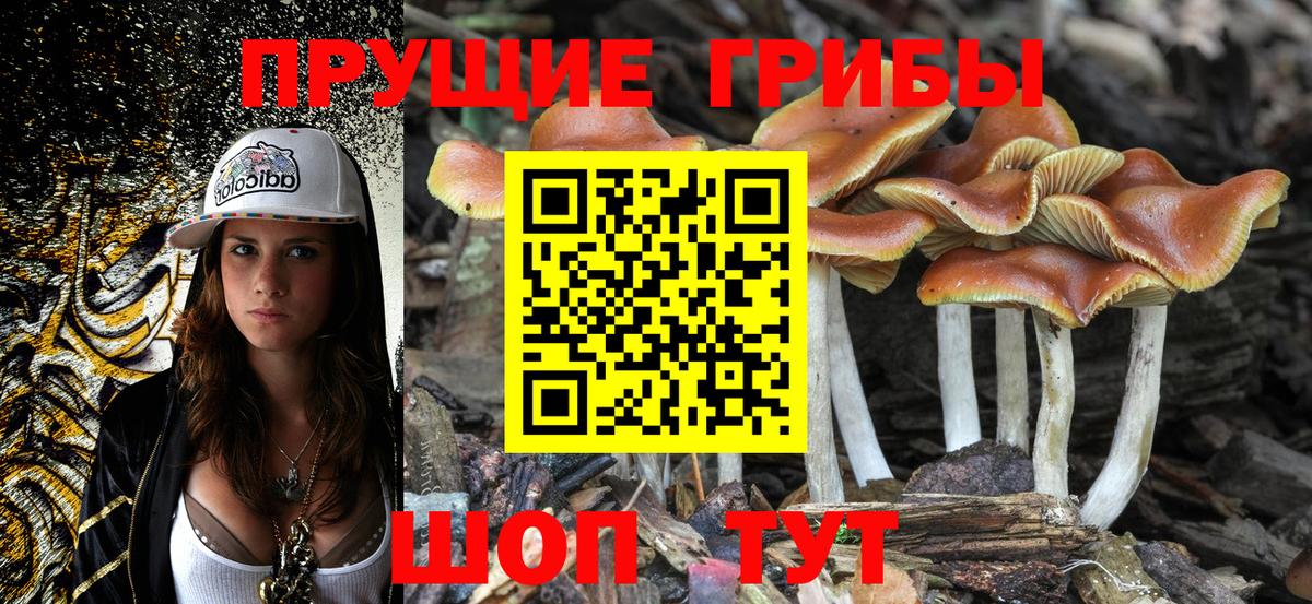Псилоцибиновые грибы прущие грибы  Галлюциногенные грибы прущие грибы  Вход с VPN  Полевской 