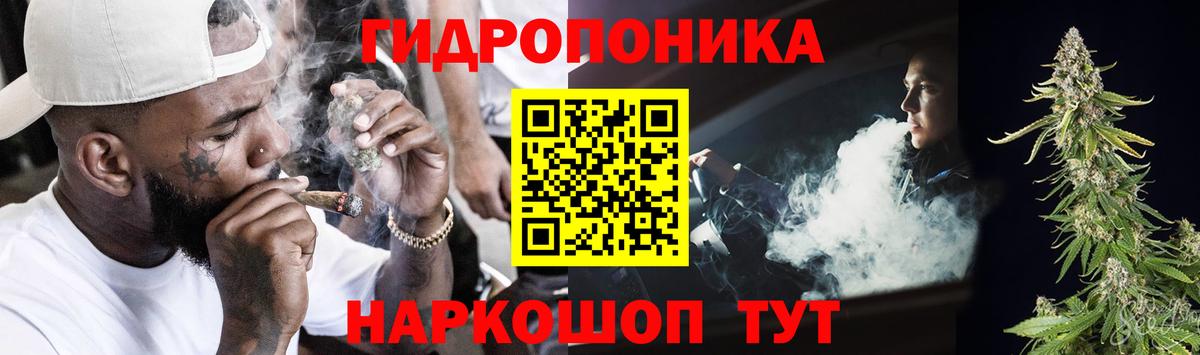 Каннабис индика Полевской